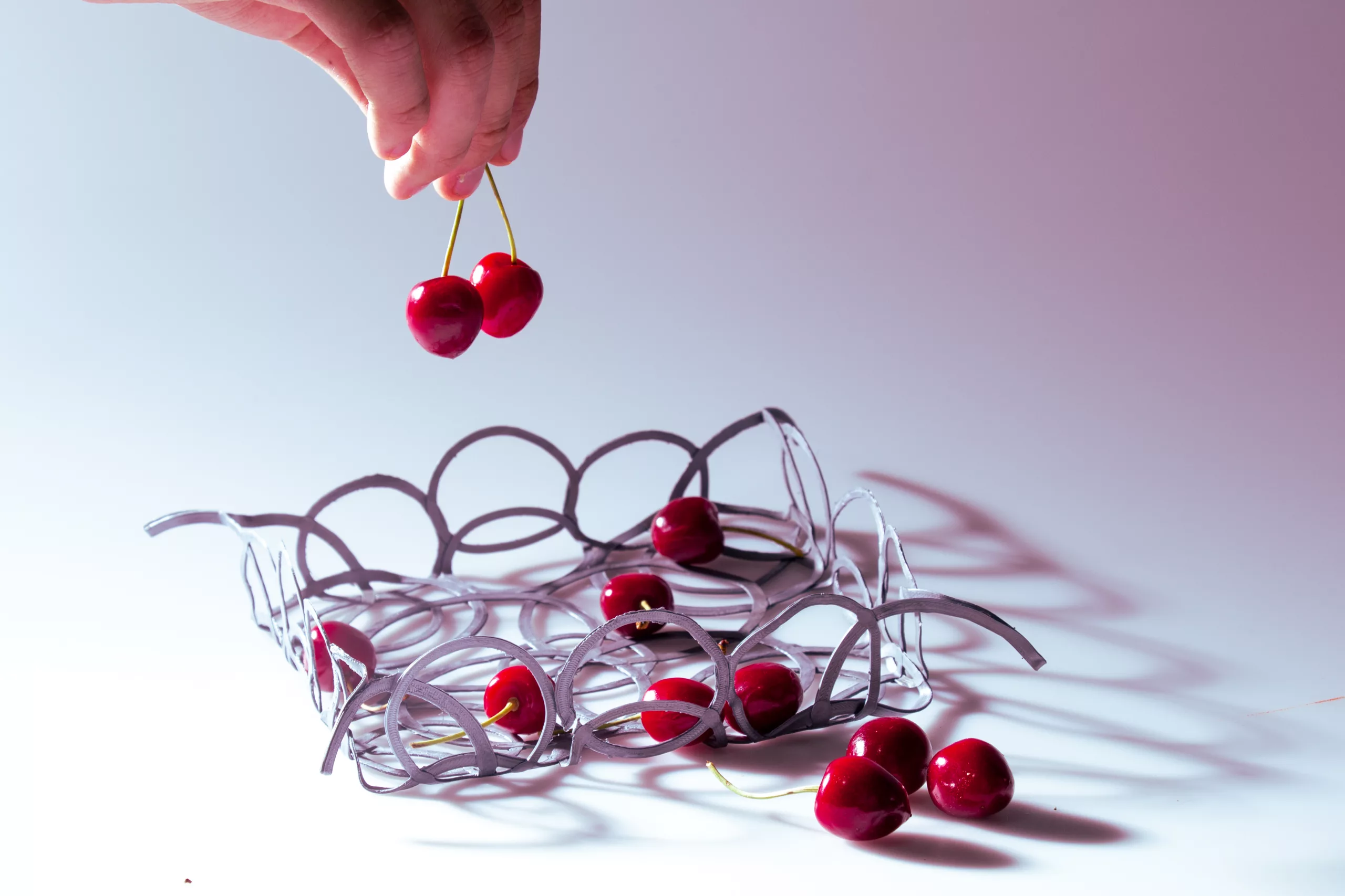A hand dropping cherries into the PLArt tray
