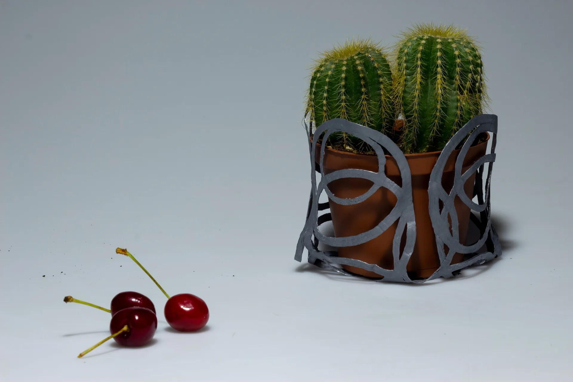 A cactus in a clay pot wrapped in a PLArt sleeve, next to three cherries