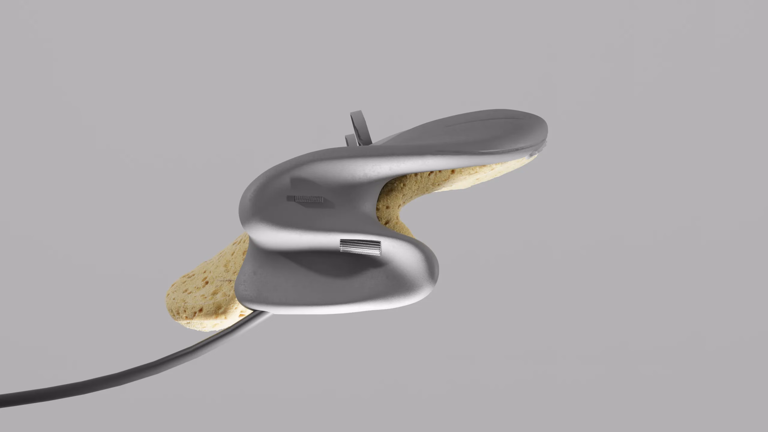 The sponge on its own, seen from the side